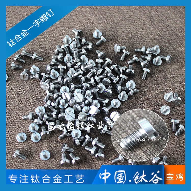 鈦合金一字螺釘 TC4/GR5